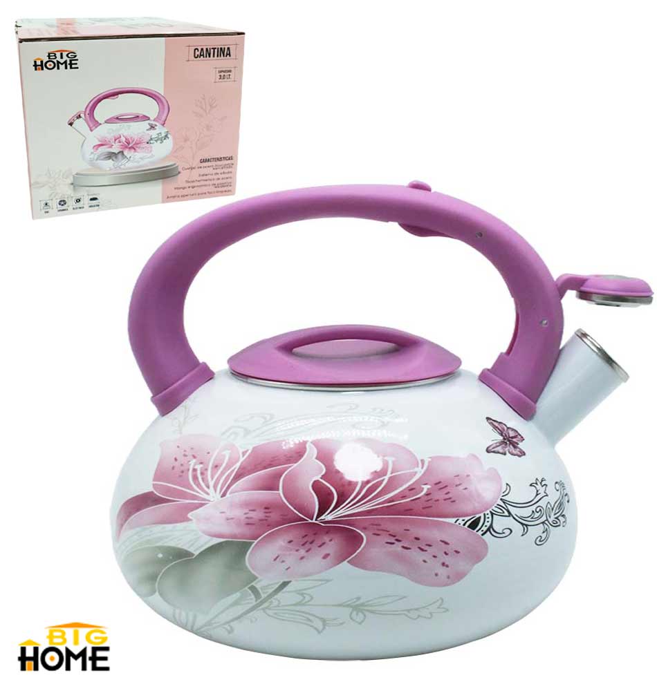 Cantina de Hierro Enlozado 3L Big Home WT-A27-3.0L