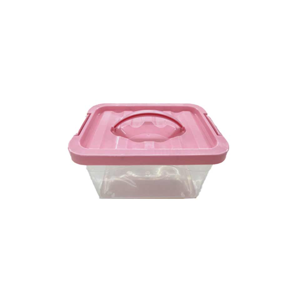 Organizador Plástico Mia-20228