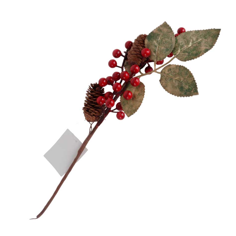 Rama De Acebo C/Piña Mia11129