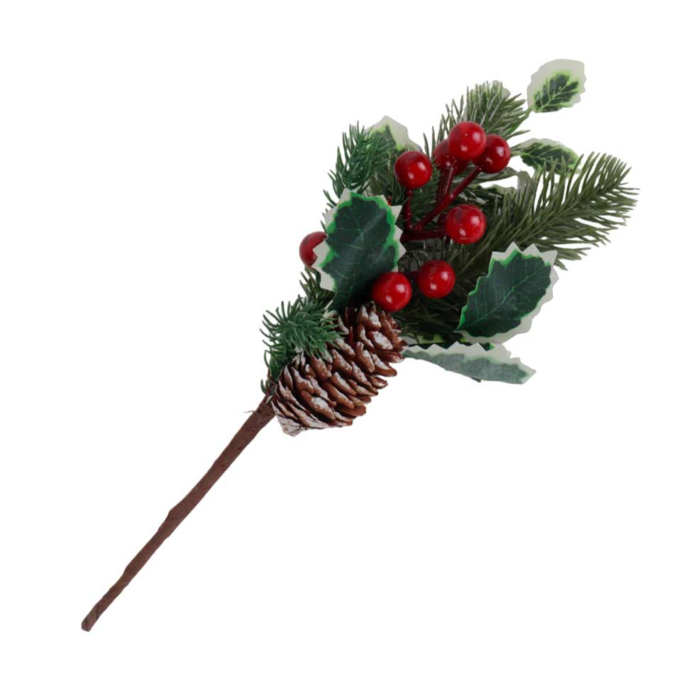 Rama Acebo/Piña Naveña Mia11131