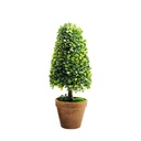 Árbol Artificial Bonsái Con Macetero Mia-8596