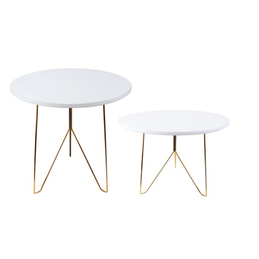 [1303372] Set Mesa De Centro 2 Piezas Big-20107