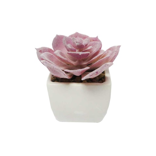 [1300758] Planta Artificial 10X5.5Cm Big-20308