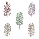 Hoja Deco Navidad Surtido Mia11073