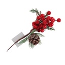 Rama Acebo C/Piña Mia11130