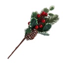 Rama Acebo/Piña Naveña Mia11131